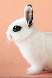 《漫威暗夜之子》新预告视频：玩家角色“猎人”